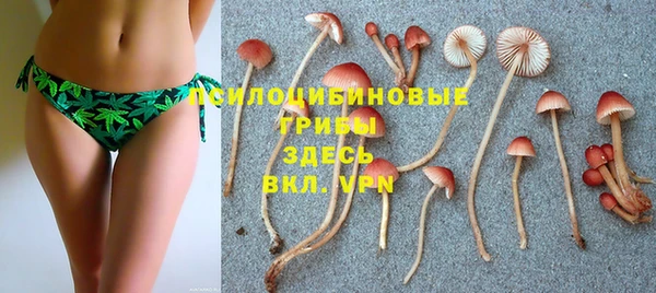бошки Абдулино